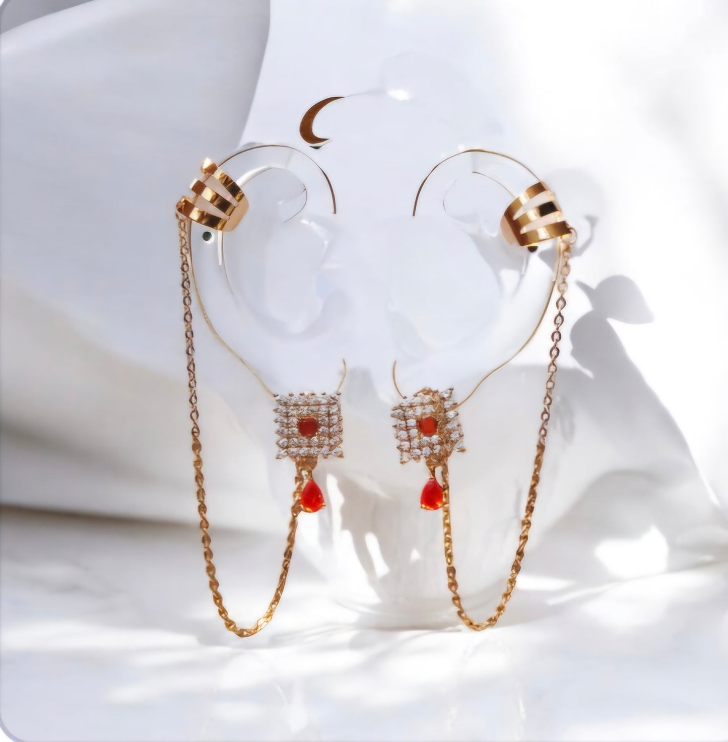 Earrings ER-004