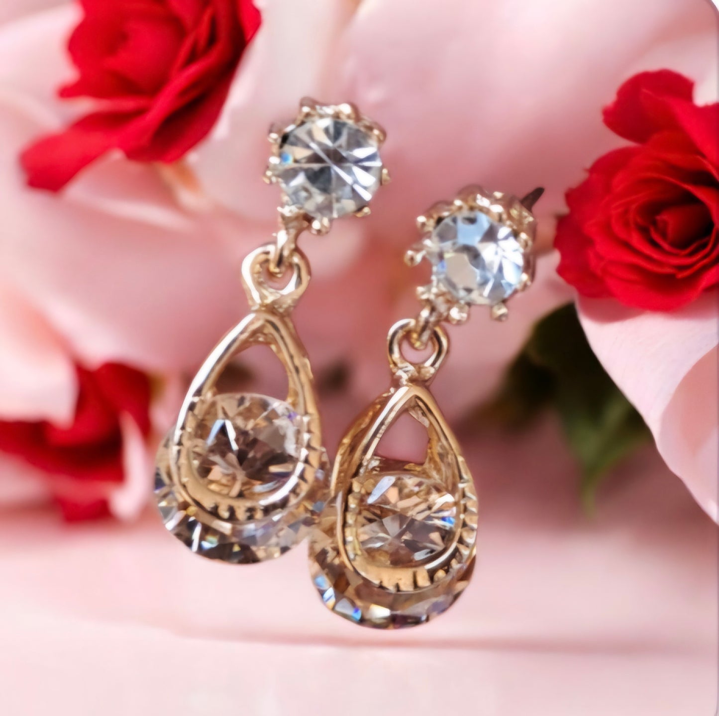 Earrings ER-023